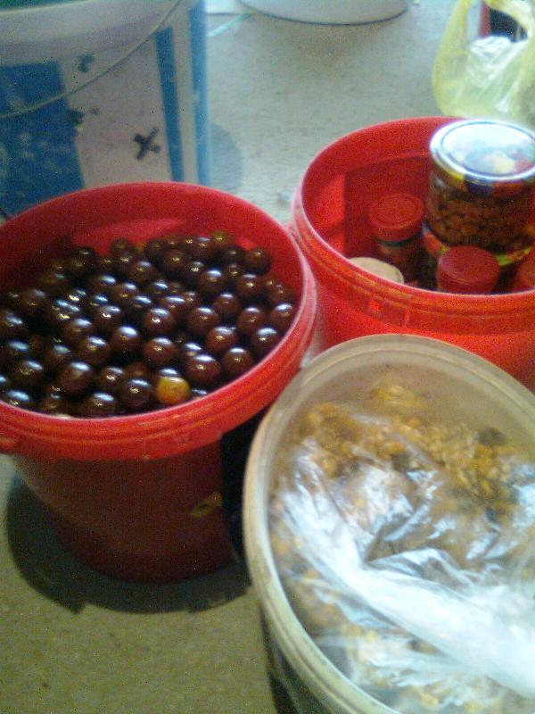 pentru delta - imagine0203.jpg